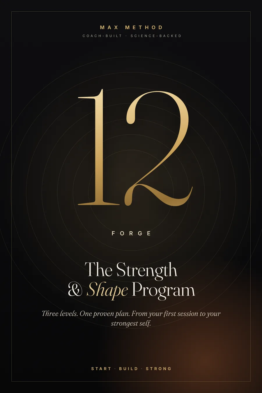 Forge 12 cover
